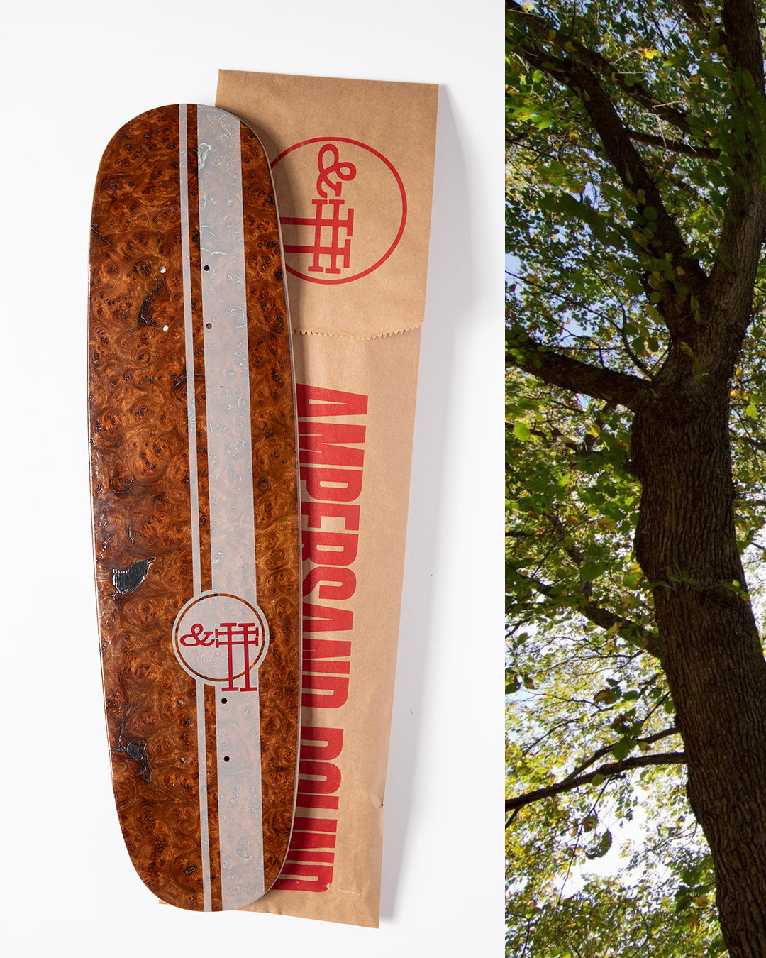 AP011 :: Cafe Racer Exotic Hardwood Cruiser
